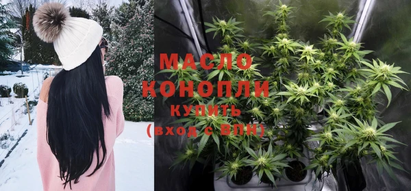 индика Новочеркасск