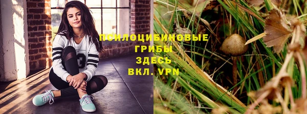2c-b Осинники