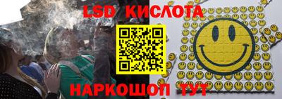 сатива Будённовск