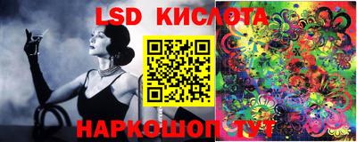 шишки Заводоуковск