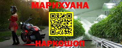 сатива Будённовск