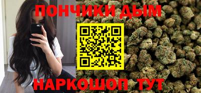 шишки Заводоуковск