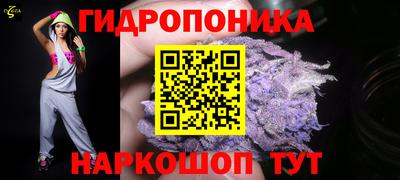 шишки Заводоуковск