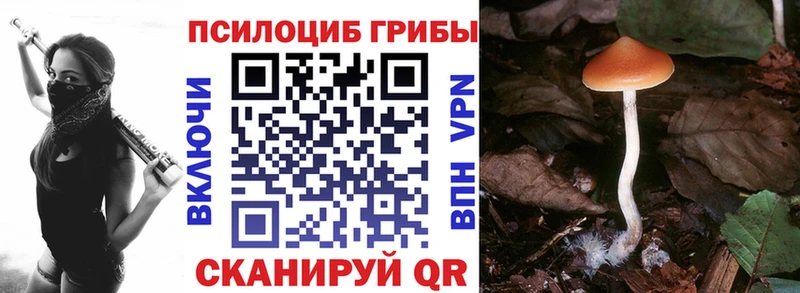 Галлюциногенные грибы GOLDEN TEACHER Кропоткин
