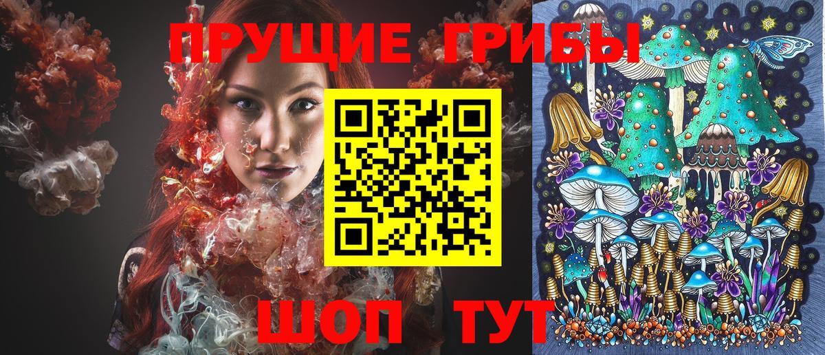 Псилоцибиновые грибы MAGIC MUSHROOMS  Кропоткин 