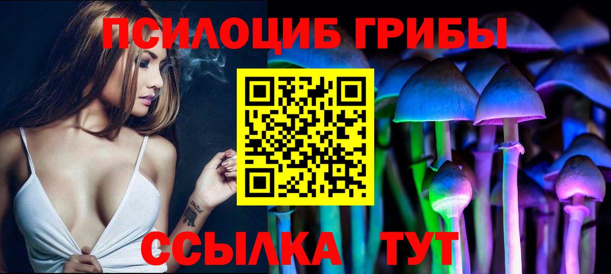 Кропоткин  Псилоцибиновые грибы прущие грибы  Вход с VPN 